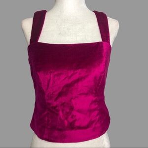 🧡 0 🧡 NWT Anthro Top Tank Bustier Velvet Cropped Sexy